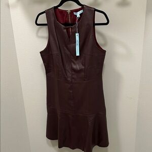She + Sky Rich Brown Mini Dress
